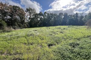 Terreno Residenziale Castiadas