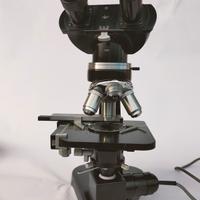 microscopio leitz a luce passante, oscur polarizza