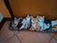 Immagine 4