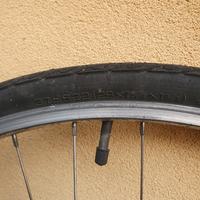 ruota anteriore bicicletta misura 28