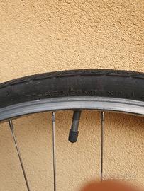 ruota anteriore bicicletta misura 28