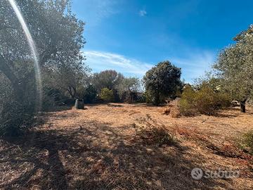 Terreno edificabile Sassari
