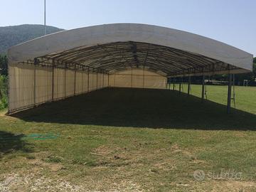 Attività di noleggio Avviata