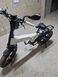 Bici elettrica fat bike watta