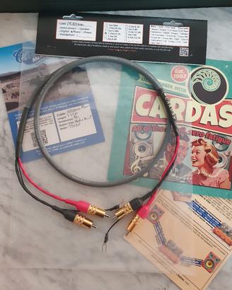 Cardas Iridium phono  