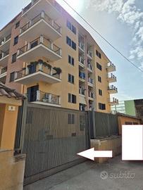 Box smcv 279/2024 lotto 2