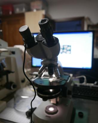 MICROSCOPIO ZEISS