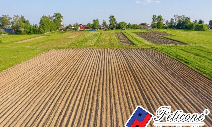 Terreno agricolo - Fondi