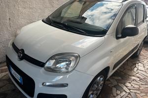 Fiat panda van