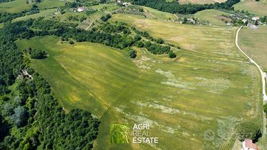 Torrita Tiberina (RM) - Terreno 34 ha. | TR389