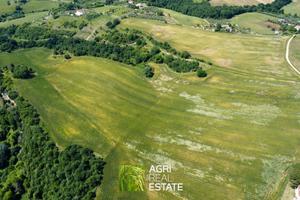 Torrita Tiberina (RM) - Terreno 34 ha. | TR389