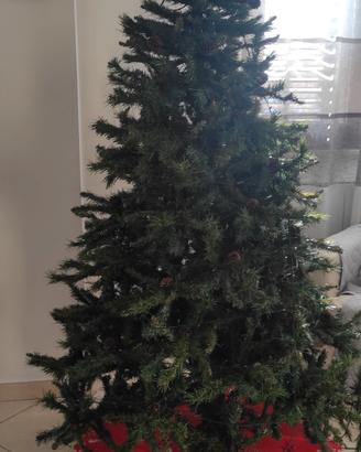 Albero di natale 