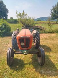 agricola