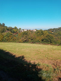 Terreno agricolo esposto al sole