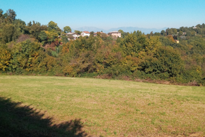 Terreno agricolo esposto al sole