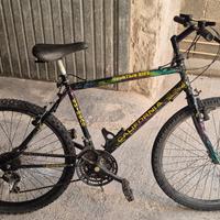 bicicletta mtb 