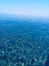 Santa maria del cedro grisolia scalo