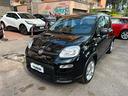 fiat-panda-1-0-firefly-s-s-hybrid