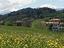 Immagine 5