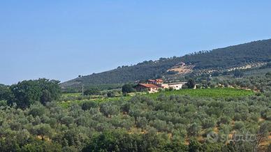 Casale a Montecchio