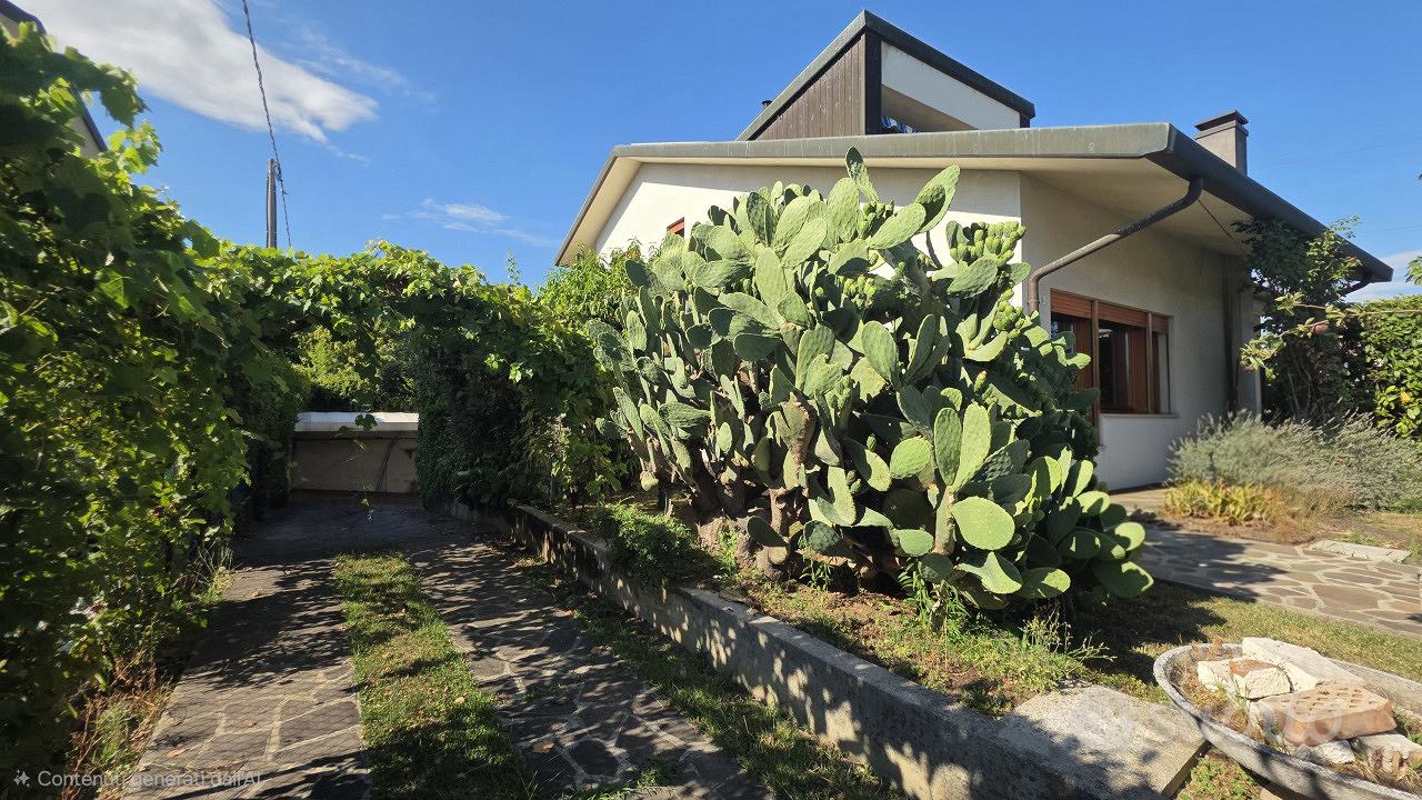 Casa – Castelfranco Veneto, Salvarosa - Vista 3