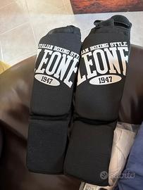 Paratibie Leone