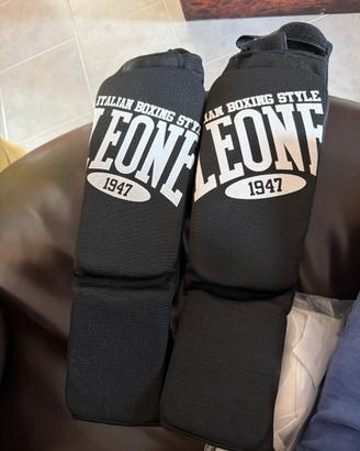 Paratibie Leone