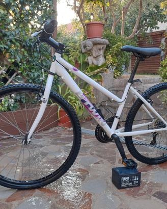 bicicletta mtb ruote da 26