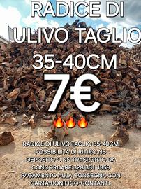 LEGNA DA ARDERE RADICE 7€