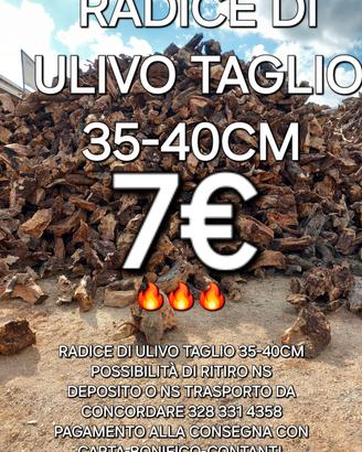 LEGNA DA ARDERE RADICE 7€