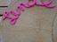 Immagine 2
