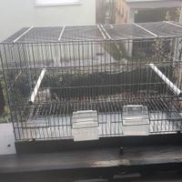 Gabbie per canarini