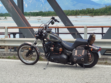 Harley davidson softail custom 1991