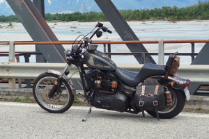 Harley davidson softail custom 1991