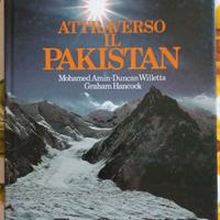 Libro autori M. Amin, D. Willetts e G. Hancock