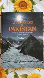 Libro autori M. Amin, D. Willetts e G. Hancock