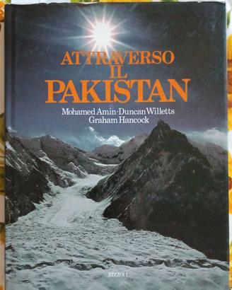 Libro autori M. Amin, D. Willetts e G. Hancock