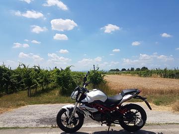 Benelli BN 125 / 891 km