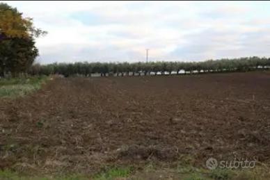 Terreno agricolo e casa stalla