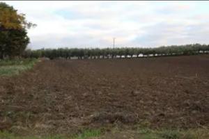 Terreno agricolo e casa stalla