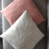 2 cuscini completi di imbottitura 