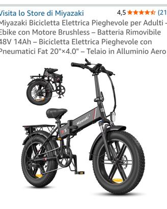 bici elettrica 