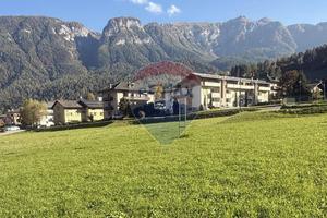 Terreno Edificabile - Dimaro Folgarida