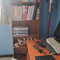 scrivania + libreria 