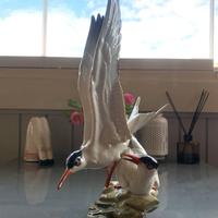 HUTSCHENREUTHER – Coppia di gabbiani (#8180)