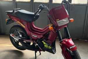 Malaguti Fifty TOP Colors raffreddato a liquido