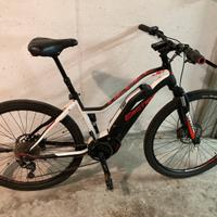Bici elettrica