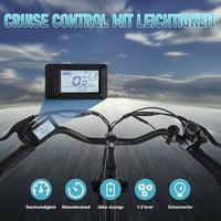 BICICLETTA ELETTRICA