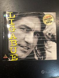 Libro  Ligabue