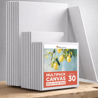 Set di 30 tele da pittura bianche NUOVO